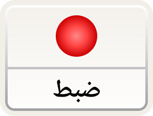 دکمه ضبط