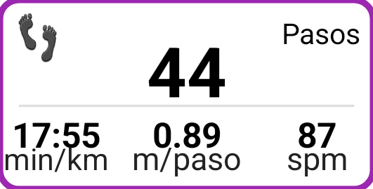Panel de pasos